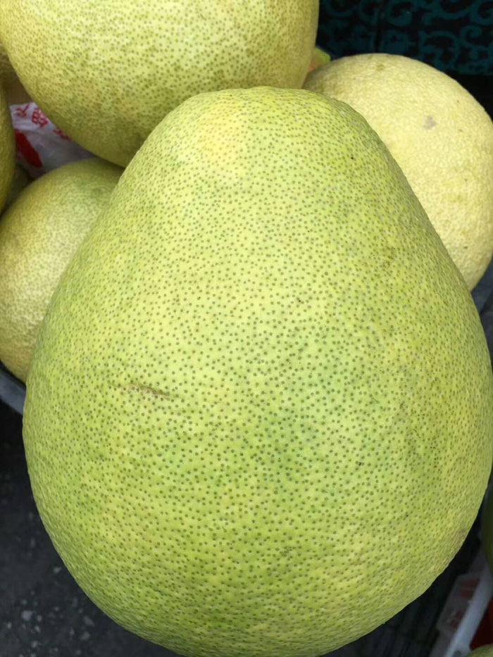 广丰马家柚