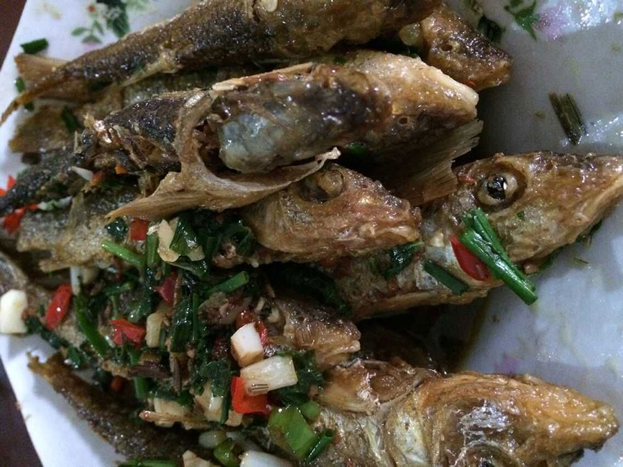 红烧溪鱼