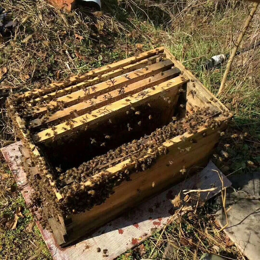 广丰土蜂蜜